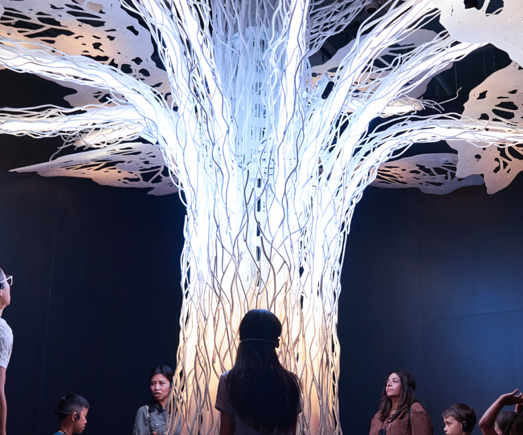 L'arbre interactif